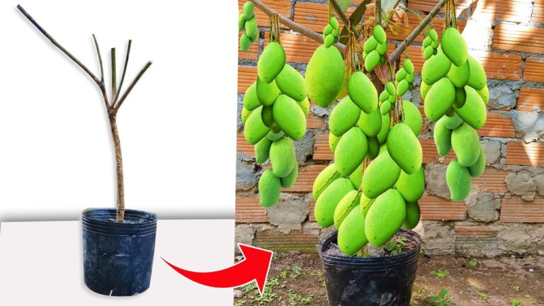 Odkryj 5 inspirujących sposobów na piękne wnętrza, które pokochasz!